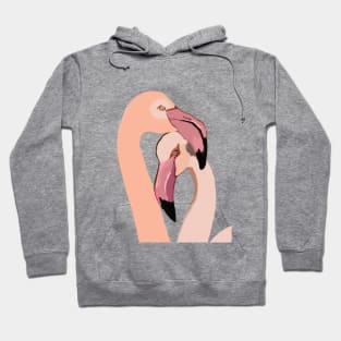 Flamingo Love Hoodie